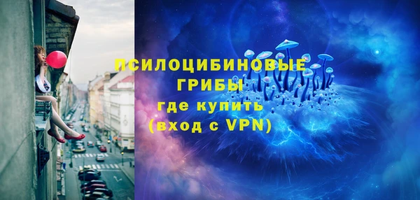 гидра Козельск