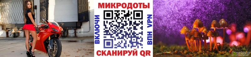 Галлюциногенные грибы мухоморы  Купить закладки  Староминская 